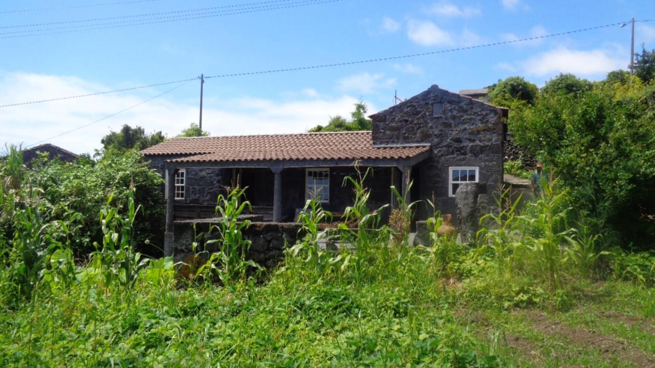 Villa Casa Da Alicia Feiteira Exterior foto